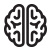 Brain