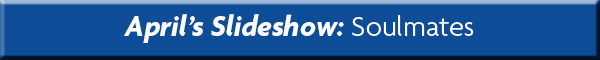 Check out this months slideshow