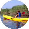 Kayaker