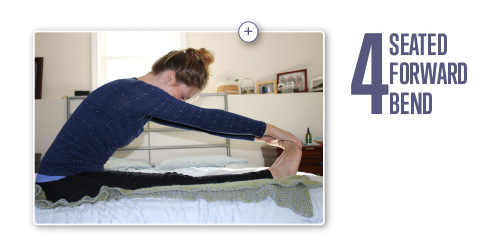 Seated forward bend